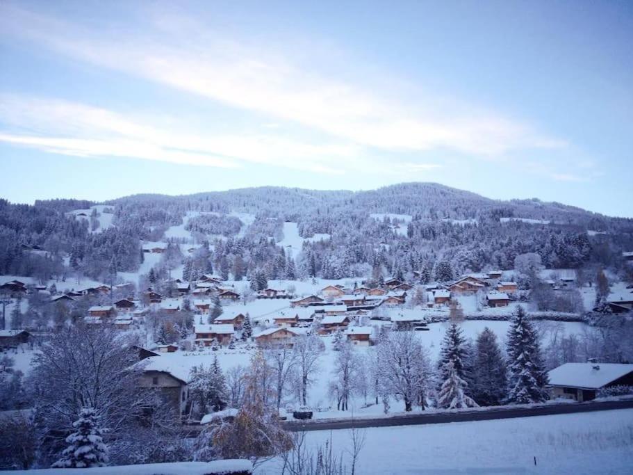 代米考迪亚Pied-A-Terre Cosy Face Aux Pistes De La Princesse公寓 外观 照片