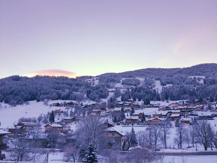 代米考迪亚Pied-A-Terre Cosy Face Aux Pistes De La Princesse公寓 外观 照片
